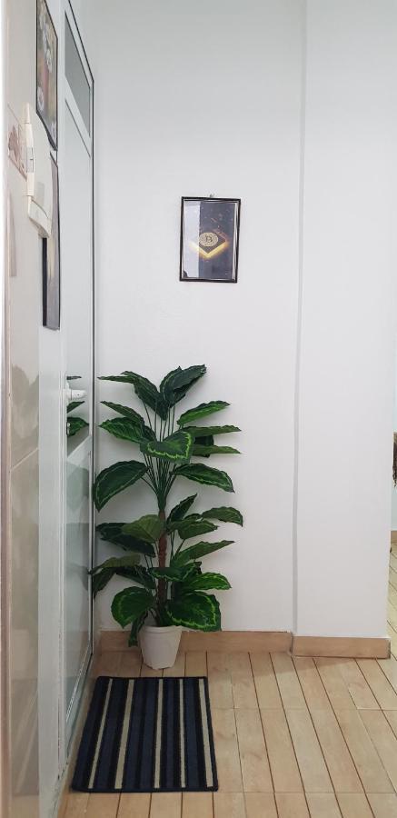 Tanjastudio 3Rd Floor, No Elevator แทนเจียร์ ภายนอก รูปภาพ